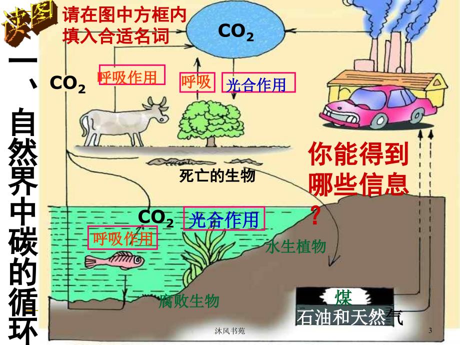 自然界中的碳循环和氧循环[课件优选]_第3页