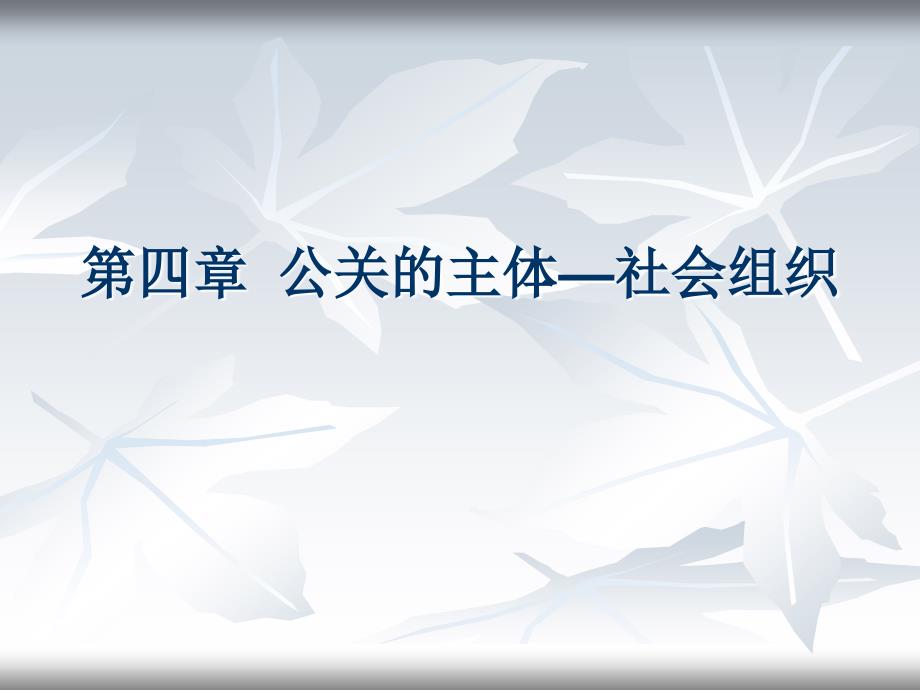 公关的主体-社会组织.ppt_第1页