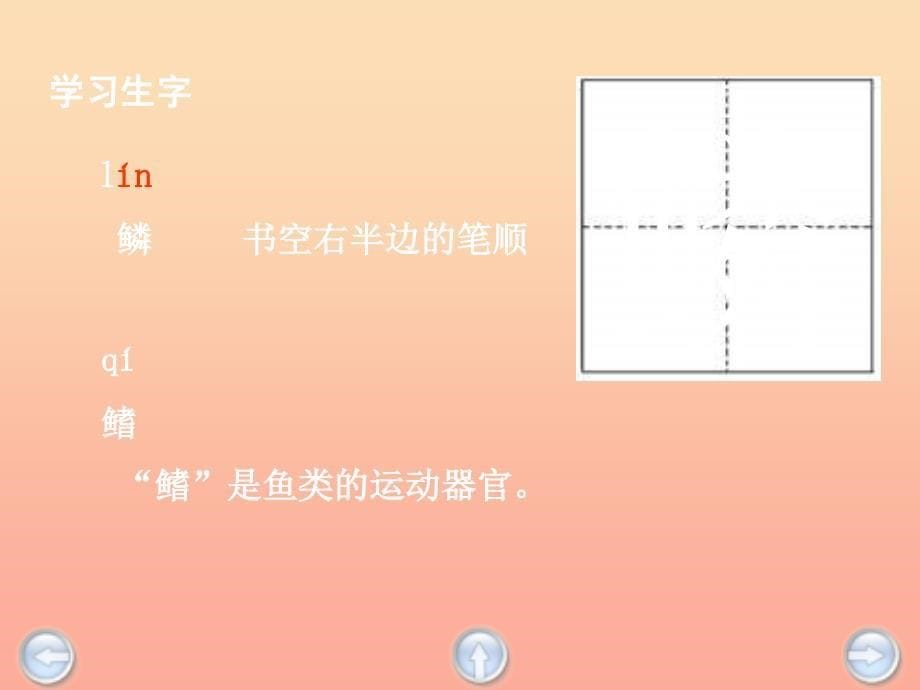 三年级语文下册 第6单元 28《鱼化石》课件4 沪教版_第5页