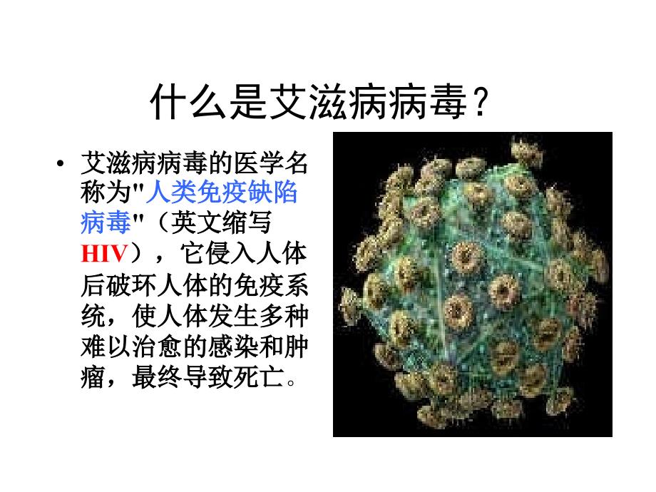 【精选】高中二年级（16)班《青少年预防艾滋病知识》主题班会（40张PPT）课件_第3页