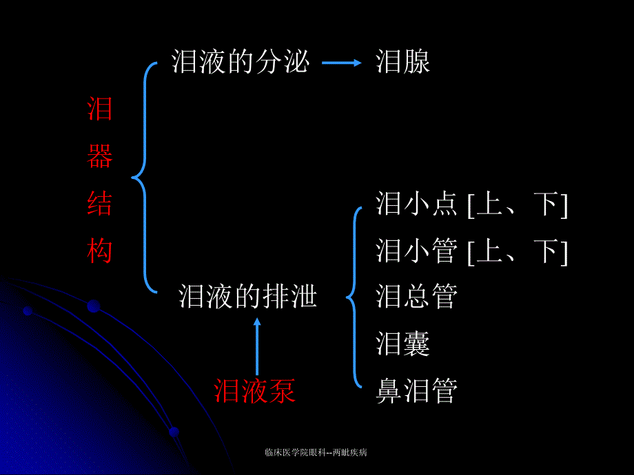 临床医学院眼科两眦疾病课件_第4页