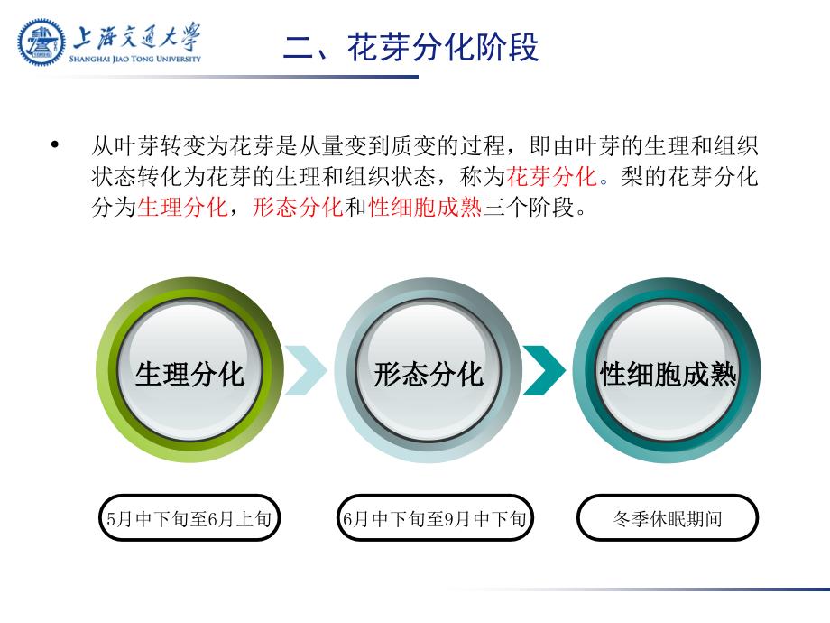 梨树花芽分化及促进技术.ppt_第4页