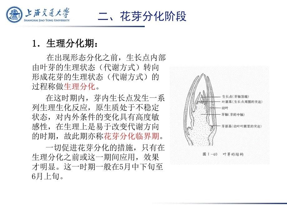 梨树花芽分化及促进技术.ppt_第5页