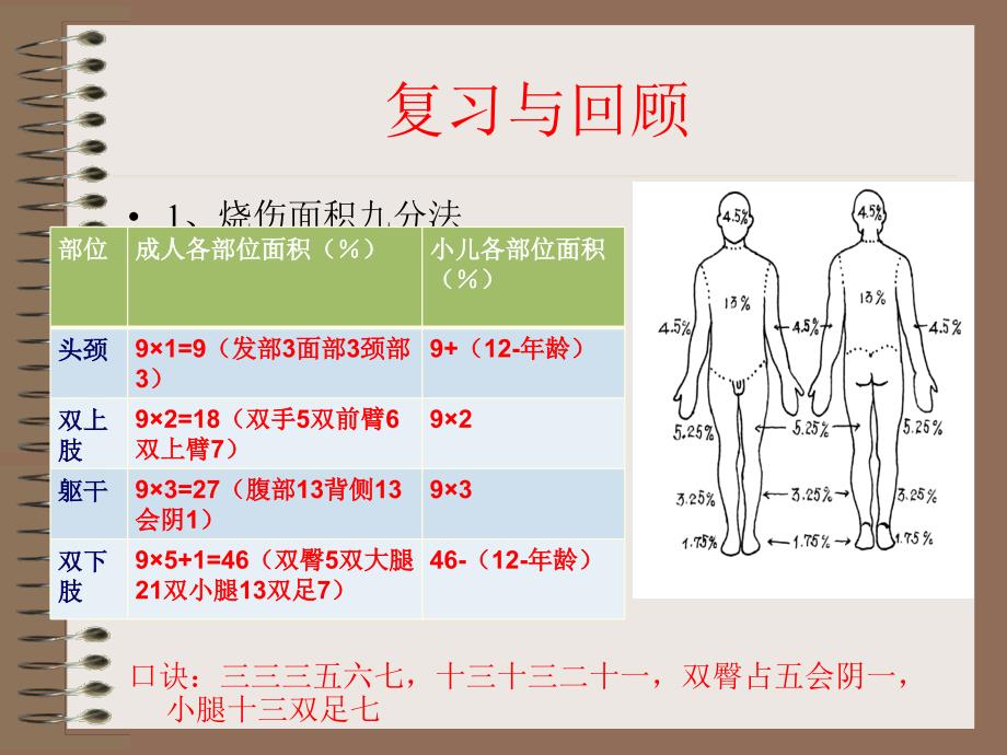 烧伤病人的护理_第2页