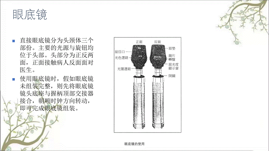 眼底镜的使用课件_第3页