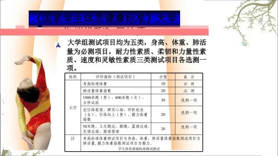 学生体质健康标准测试测试_第5页