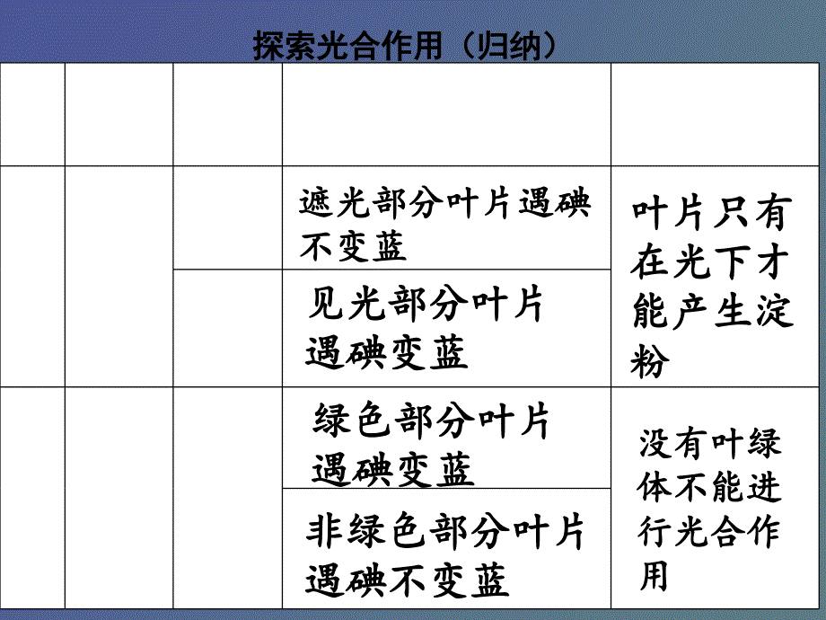 探索光合作用第二课时_第1页