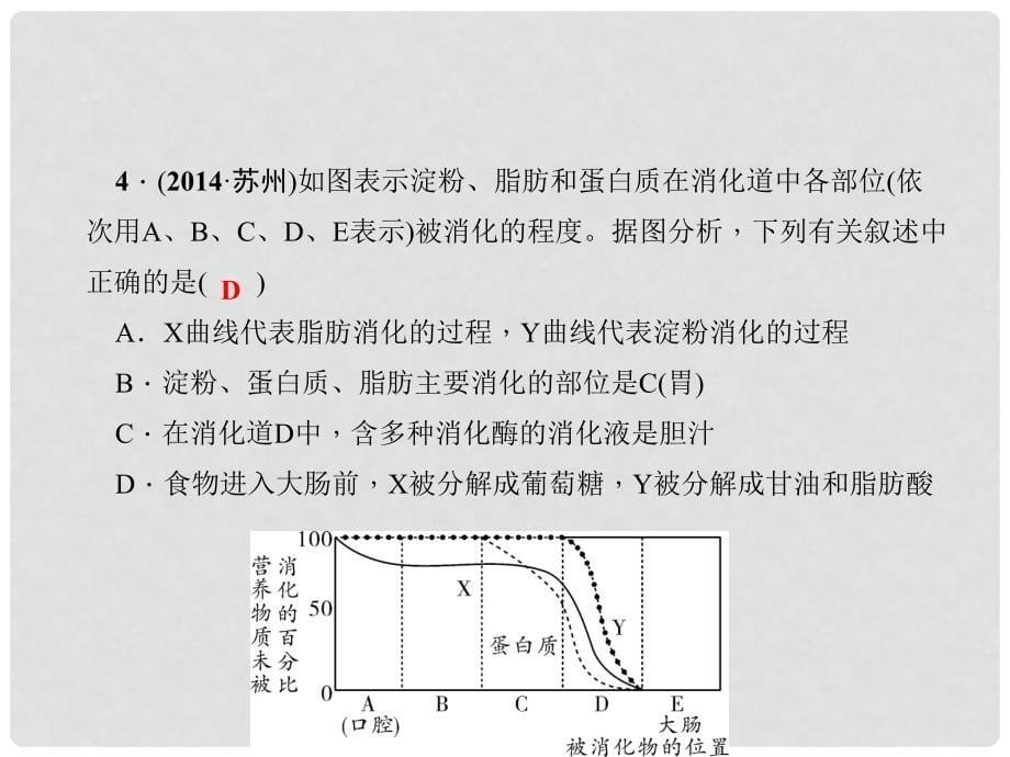 七年级生物下册 2.2 营养物质的吸收（第2课时 食物的消化与营养物质的吸收）课件 （新版）新人教版_第5页