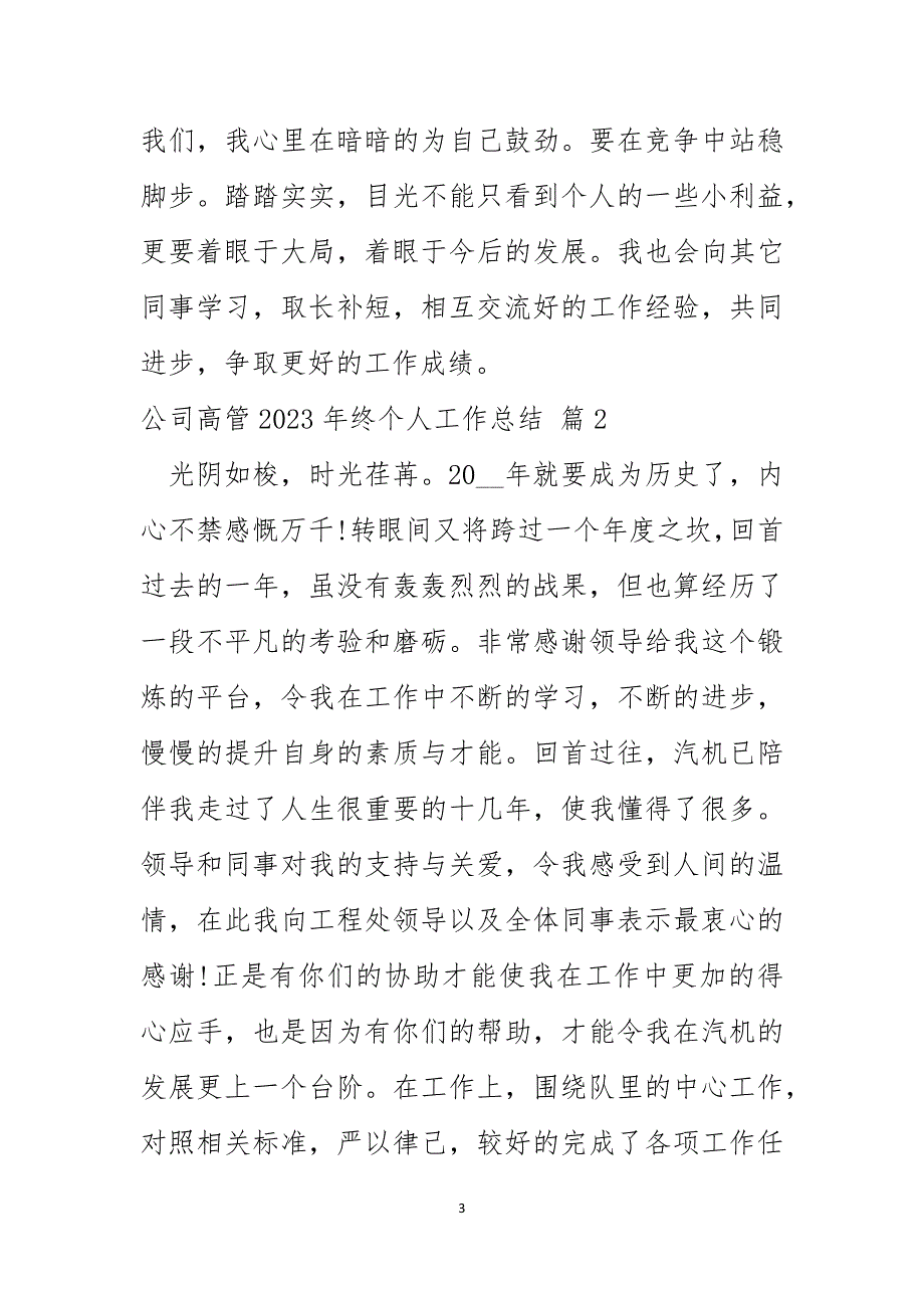 公司高管2023年终个人工作总结2_第3页