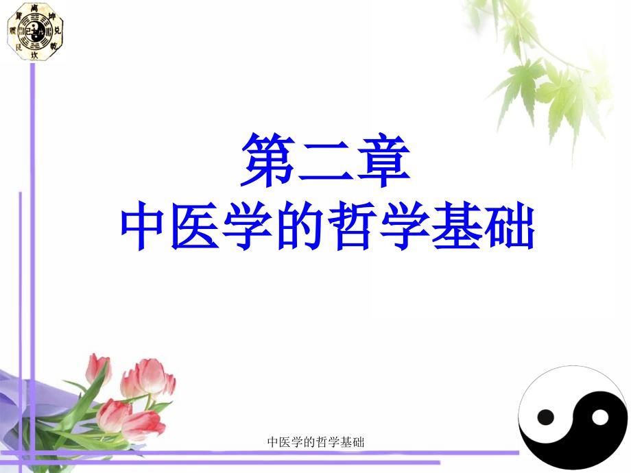 中医学的哲学基础课件_第4页