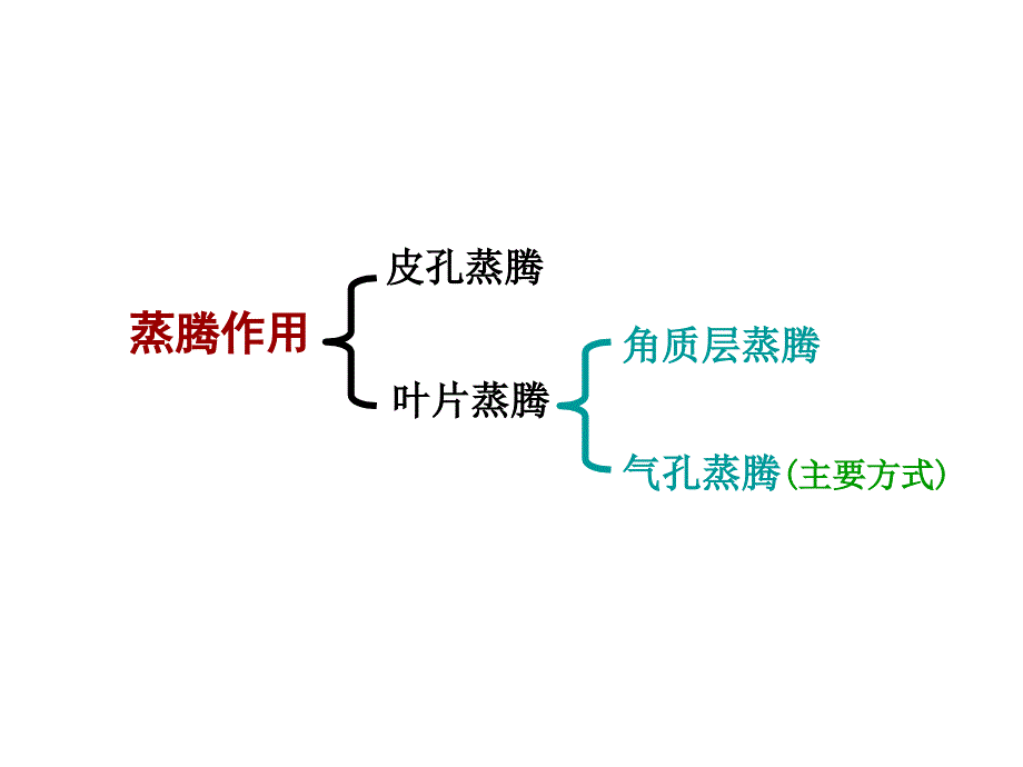 植物生理学：试题解析_第4页