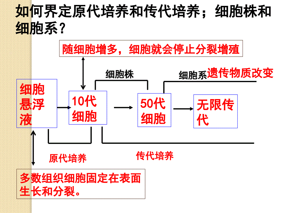 生物：2.2动物细胞工程复习课件(新人教版选修3)_第4页