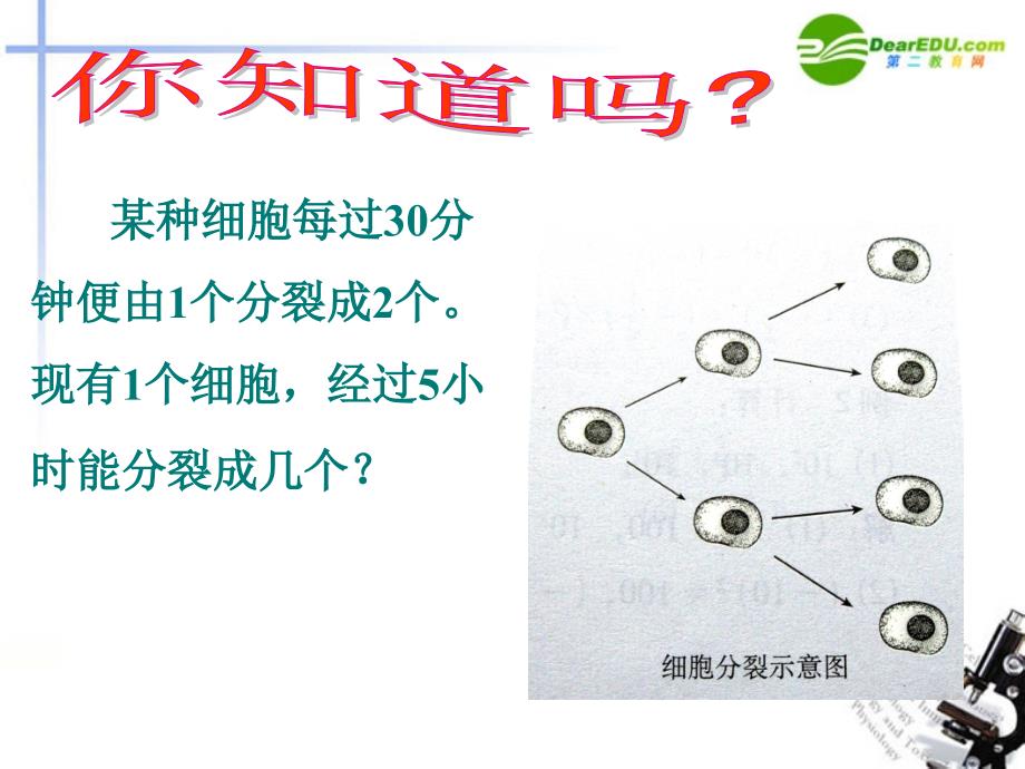 七年级数学上册2.5有理数的乘方课件浙教版课件_第3页