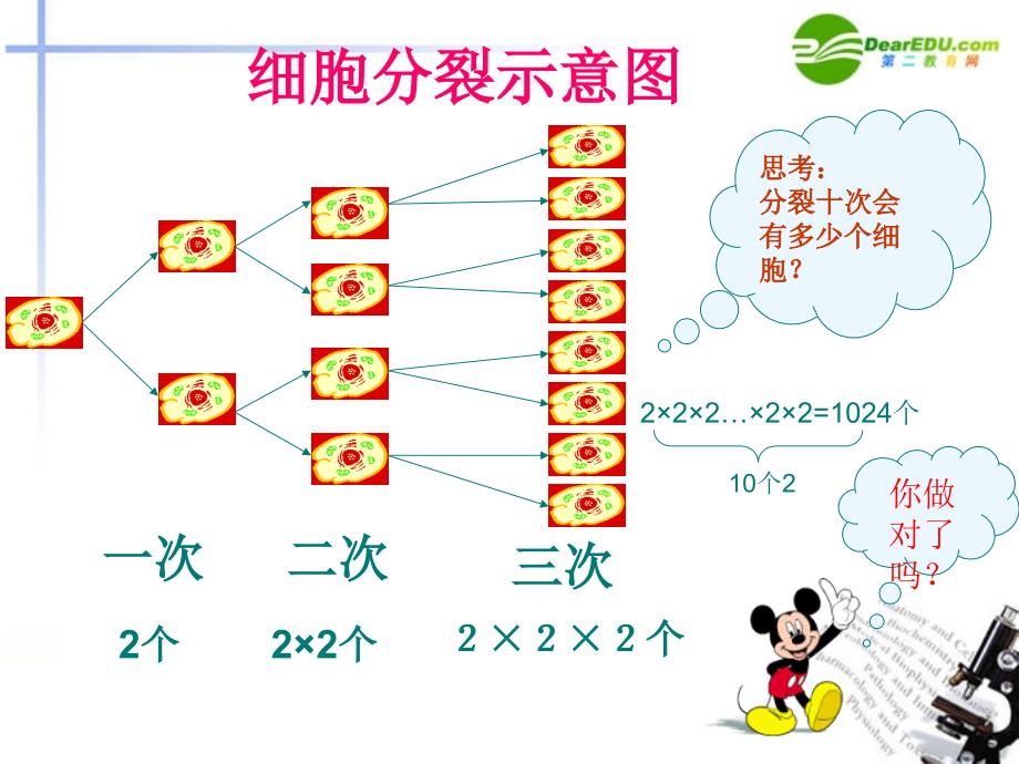 七年级数学上册2.5有理数的乘方课件浙教版课件_第4页