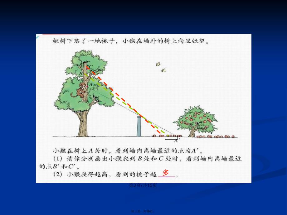 北师大版数学六年级上册《观察的范围》课件学习教案_第3页