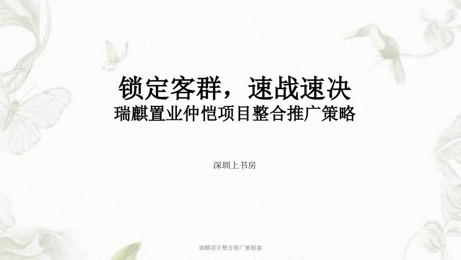 瑞麒项目整合推广策略案PPT课件_第1页