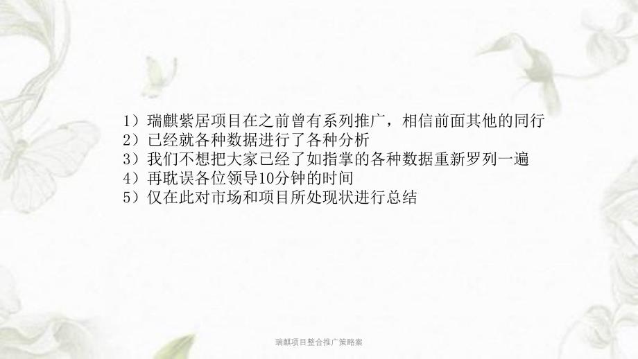 瑞麒项目整合推广策略案PPT课件_第2页