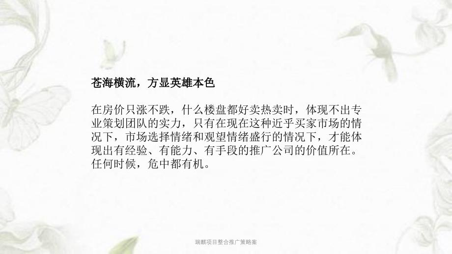 瑞麒项目整合推广策略案PPT课件_第4页