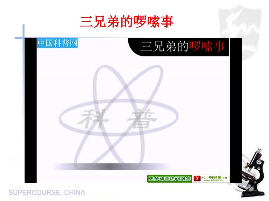 14.2第一课时科学探究：欧姆定律课件_第2页