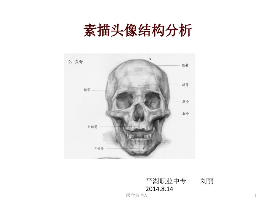 素描头像结构分析(自编)【参考仅供】_第1页