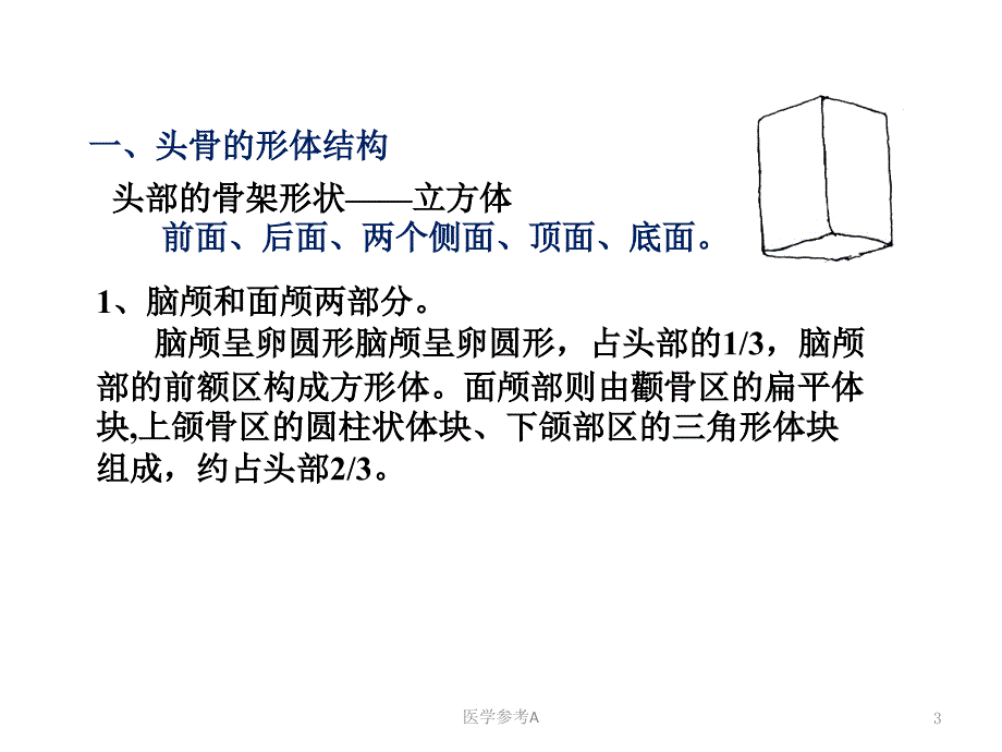 素描头像结构分析(自编)【参考仅供】_第3页