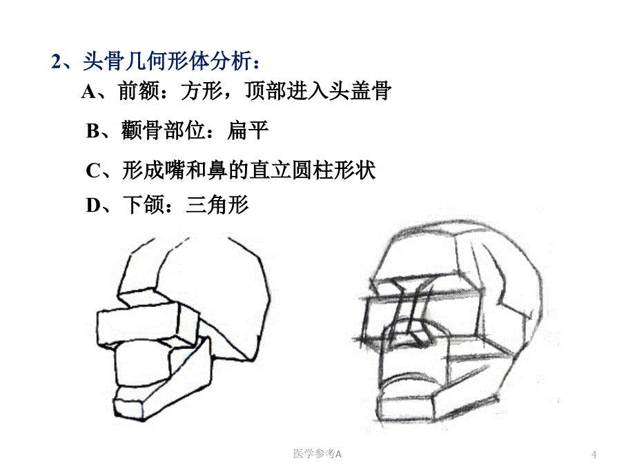 素描头像结构分析(自编)【参考仅供】_第4页