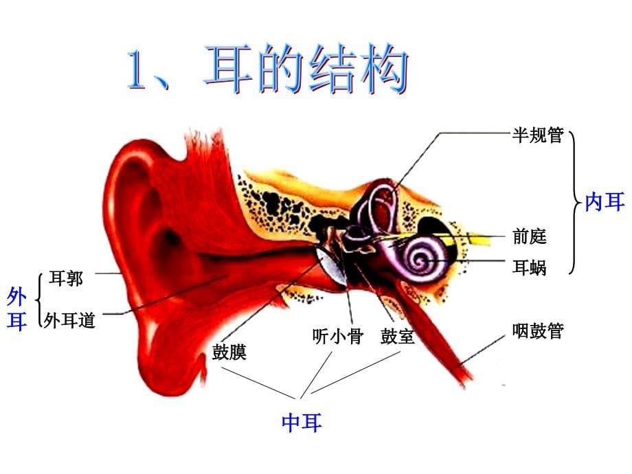 减少噪音保护听力1_第5页