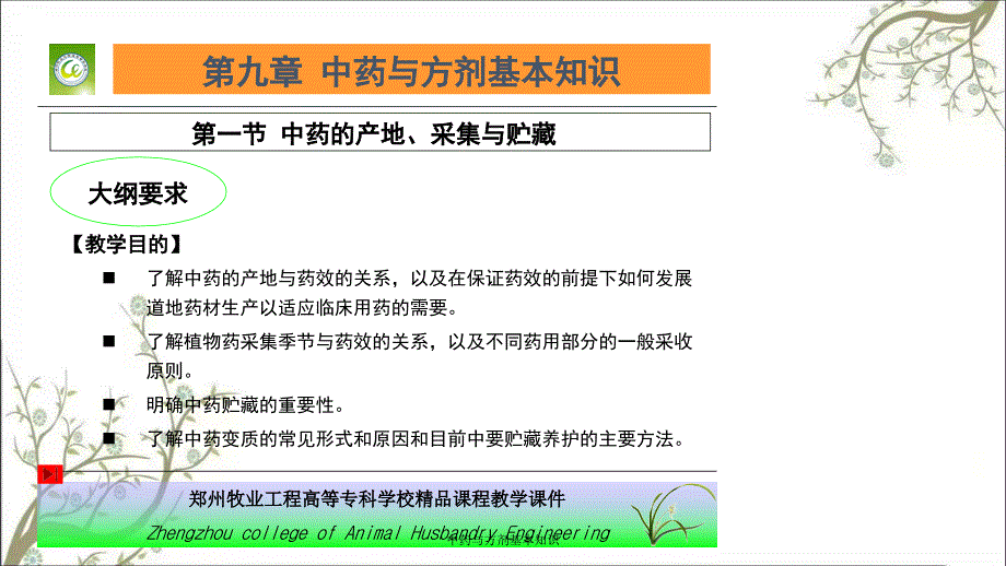 中药与方剂基本知识_第2页