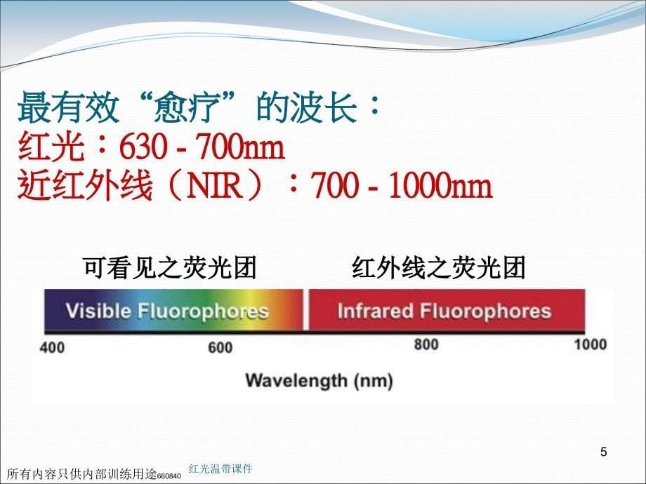 红光温带课件_第5页