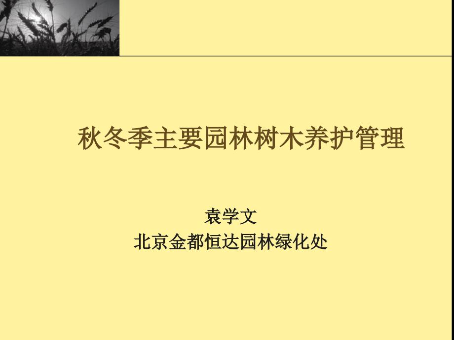 冬季园林树木养护管理冬季修剪企业协会_第1页