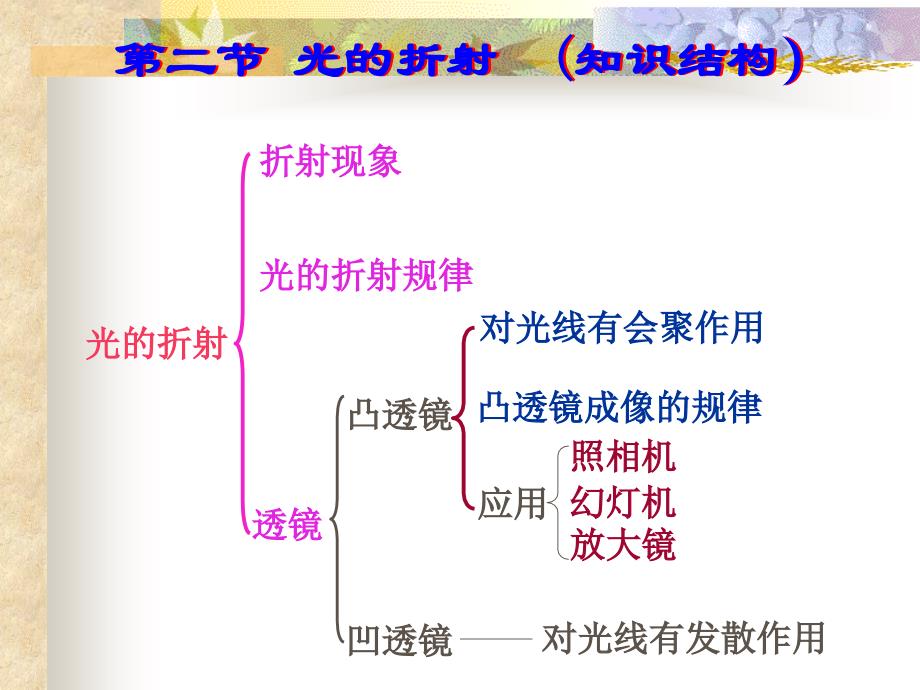 光的折射（中考复习）_第4页