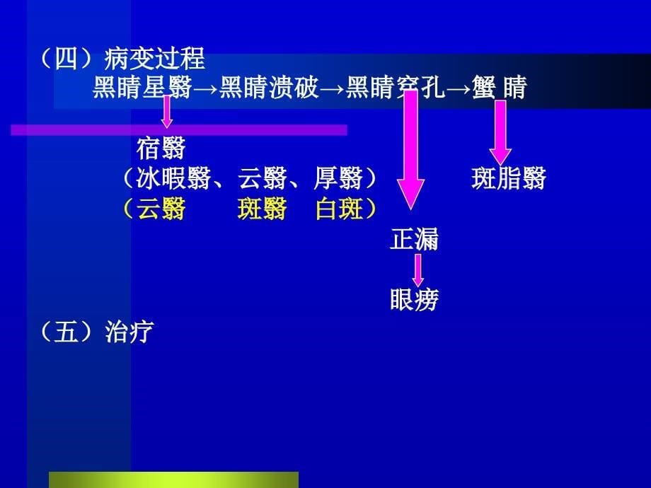 中医眼科学教学课件11黑睛疾病_第5页