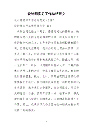 设计师实习工作总结范文