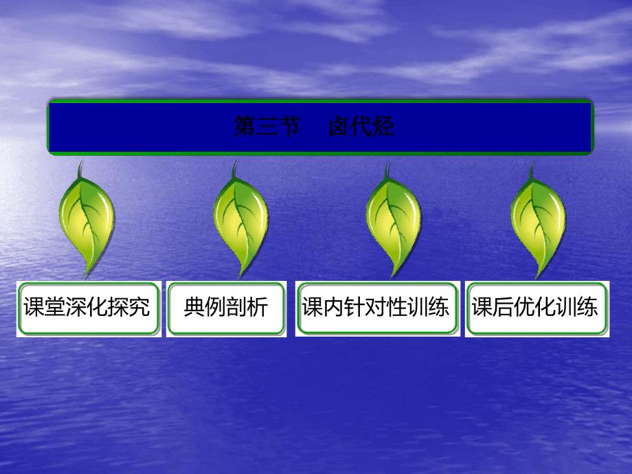 高考化学总复习重点课件烃与卤代烃_第2页