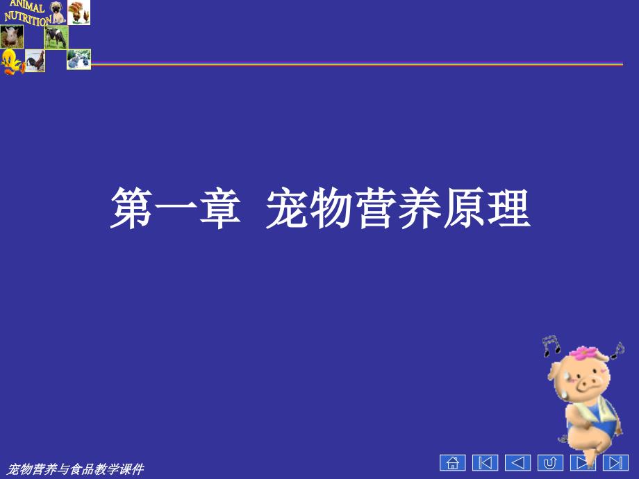 宠物营养学基本知识(能量与宠物营养);_第1页