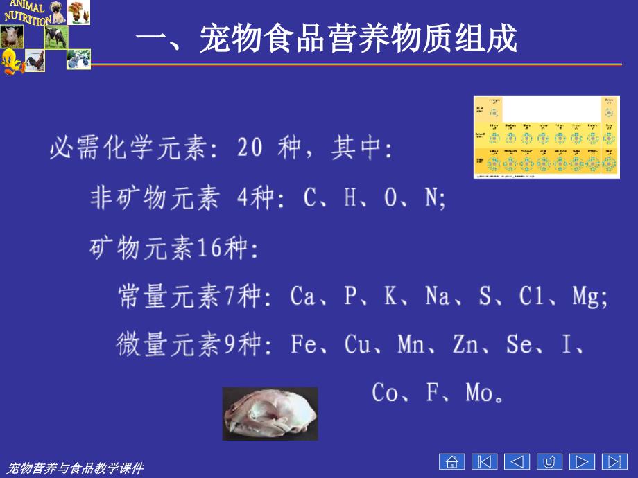 宠物营养学基本知识(能量与宠物营养);_第4页