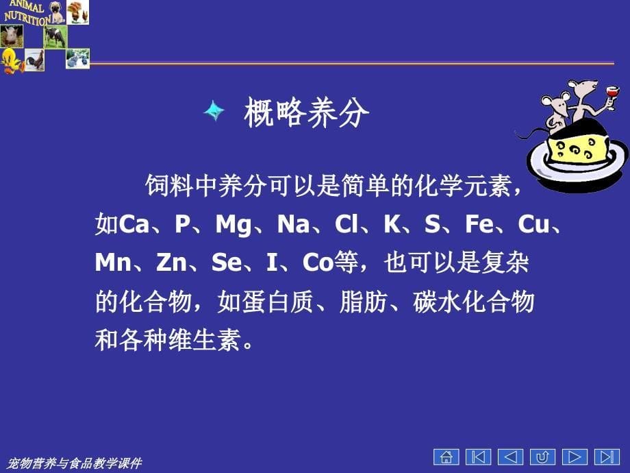 宠物营养学基本知识(能量与宠物营养);_第5页