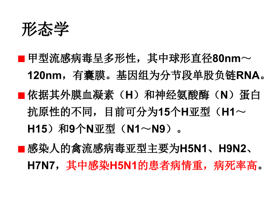 不明原因肺炎与人禽流感相关培训.ppt_第4页