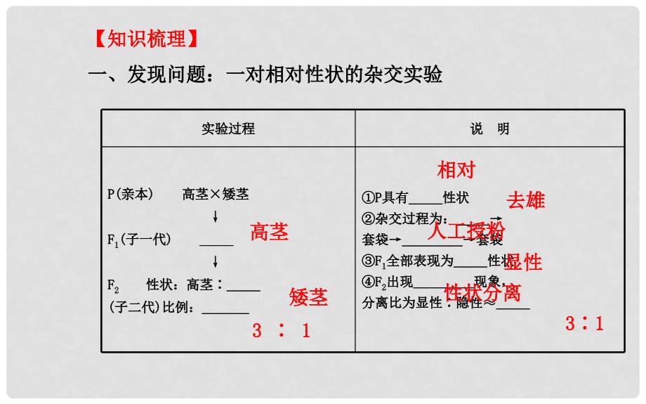 高考生物大一轮 第1章 第1节 孟德尔的豌豆杂交实验(一)配套精讲课件 新人教版必修2_第3页