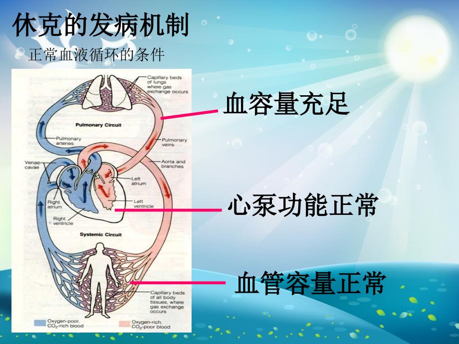 休克的分类及抢救ppt课件_第3页