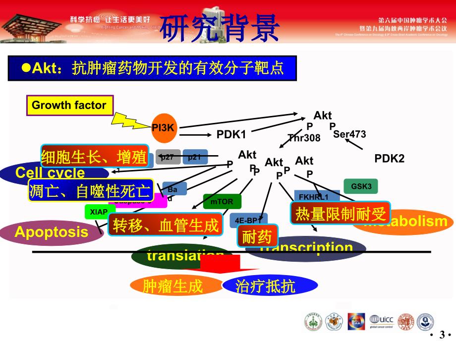 最新：景慧以AKT为靶点异补骨脂查尔酮抗肿瘤作用研究文档资料_第2页