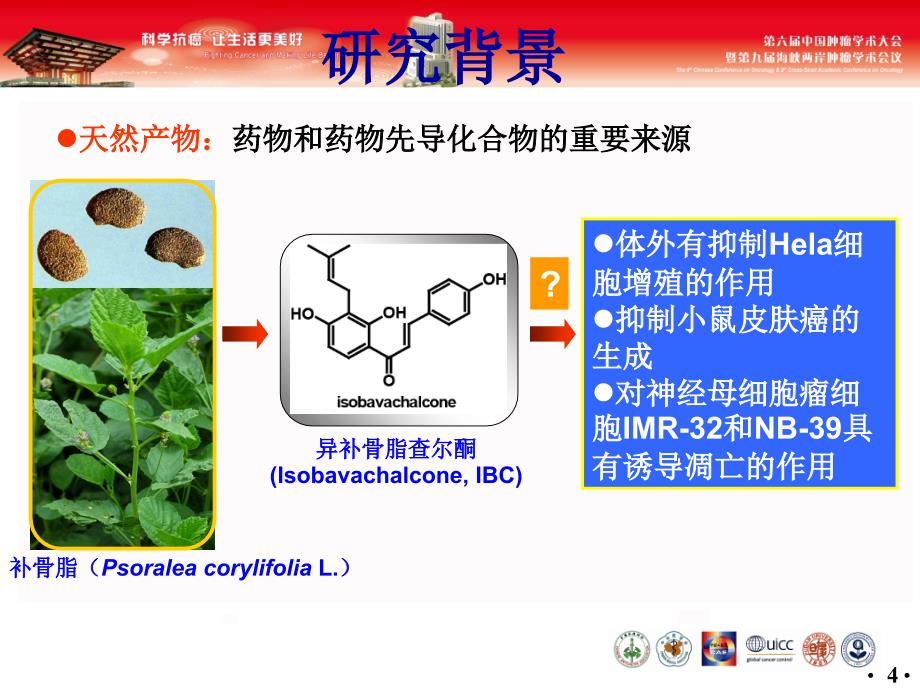 最新：景慧以AKT为靶点异补骨脂查尔酮抗肿瘤作用研究文档资料_第3页