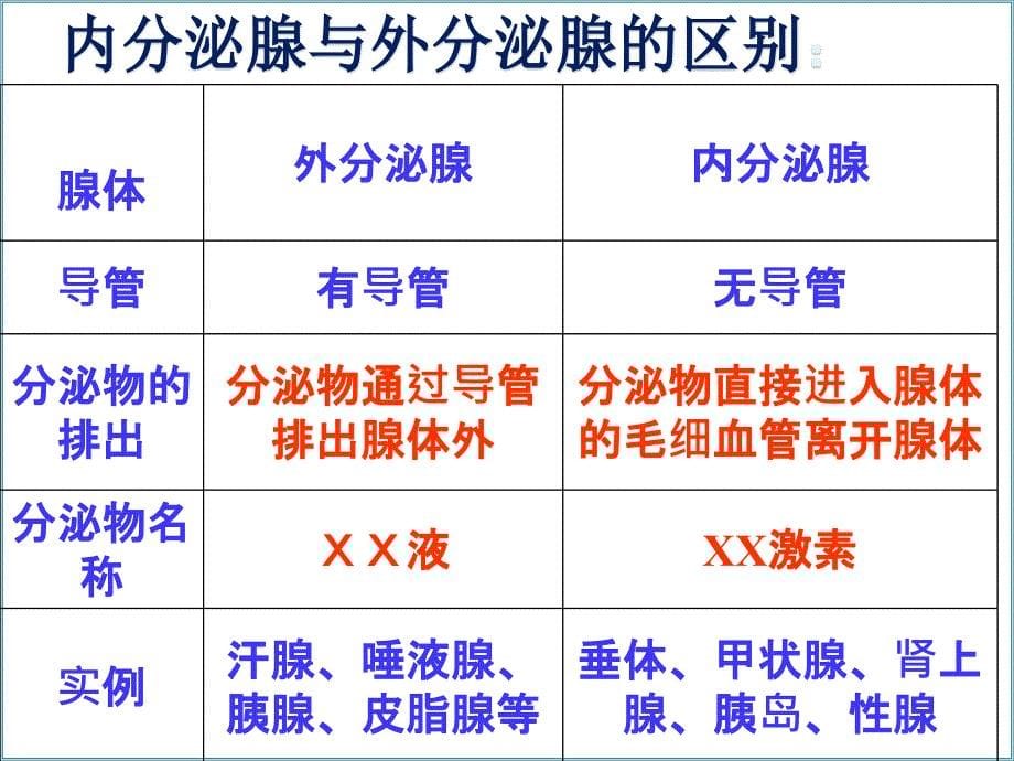 优质医学人体的内分泌系统_第5页