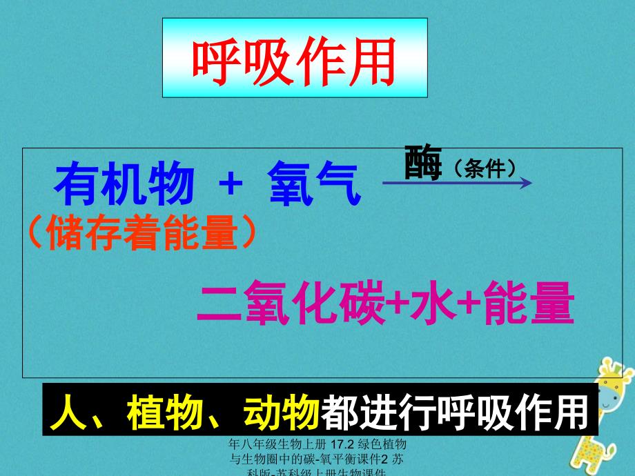 最新年八年级生物上册17.2绿色植物与生物圈中的碳氧平衡课件2苏科版苏科级上册生物课件_第3页