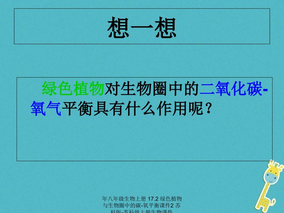 最新年八年级生物上册17.2绿色植物与生物圈中的碳氧平衡课件2苏科版苏科级上册生物课件_第4页