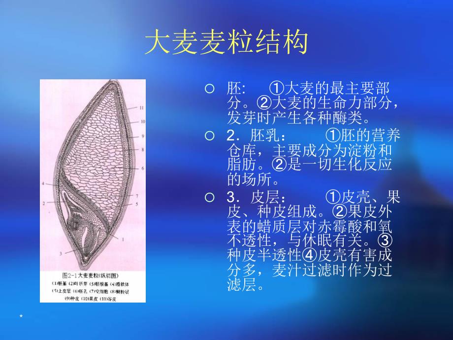 啤酒第二节原辅料及生产用水_第4页