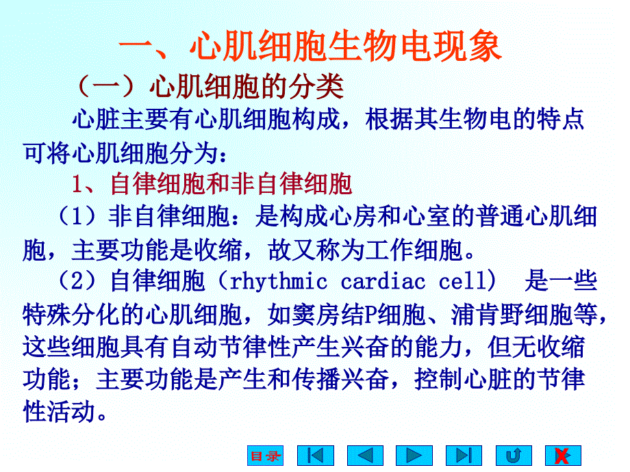 《血液循环专科备》PPT课件_第4页