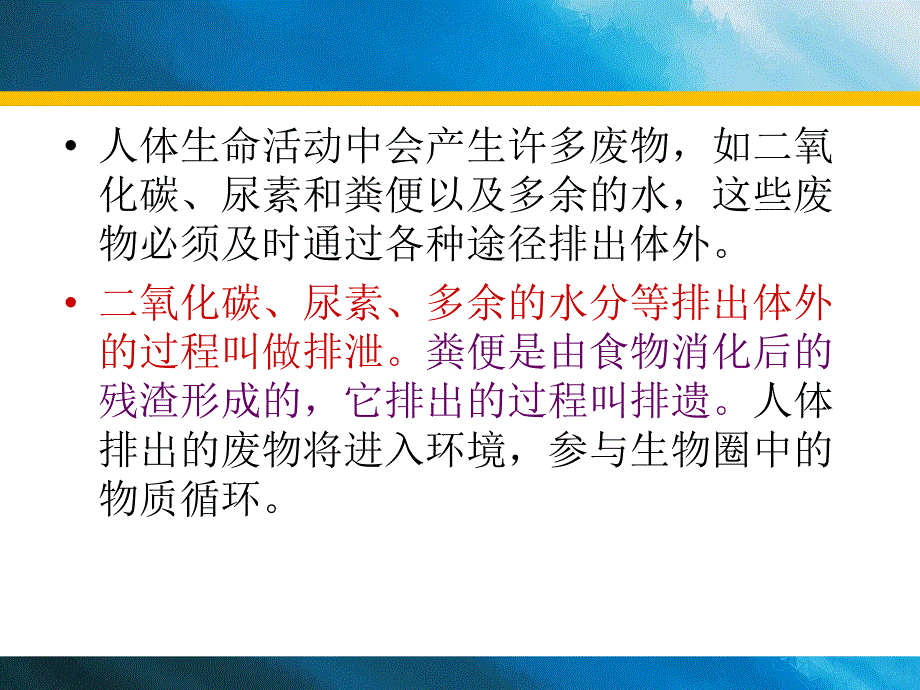 尿的形成和排出_第2页