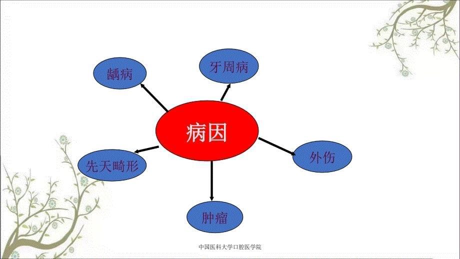 中国医科大学口腔医学院_第5页