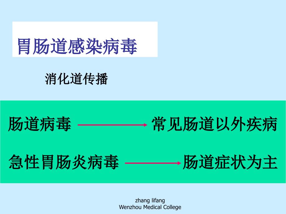 肠道病毒最新PPT课件_第2页